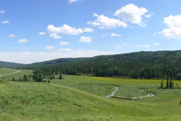Cypress Hills, Saskatchewan, Canada.