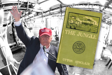 Collage of Donald Trump, a slaughterhouse, and the book "The Jungle".
