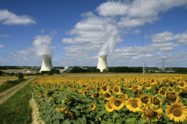 Sunflowers in front of the Civaux Nuclear Power Plant in Civaux, France.