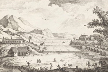 A typical sugar plantation in the 18th century, engraved by Robert Bénard.
