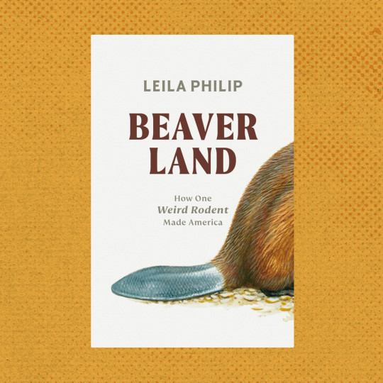 世界初動物発見史 Herbert Wendt A Fascinating History of Beavers Shows How the Species Shaped the