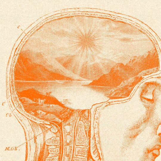 Anatomical diagram of a man's head with a landscape and shining sun where the brain would be.