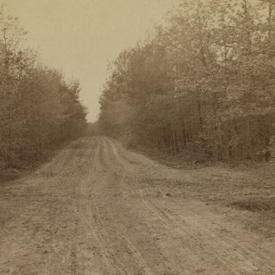 The Wilderness, 1887 photograph of an empty crossroads in the woods, by William H. Tipton.