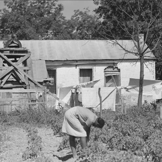 A woman tends crops in front of an old slave quarters Georgia, 1940
