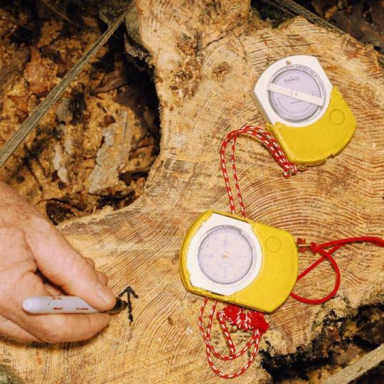 A dendrochronologist collects fire-scar data during field research in the Missouri Ozarks