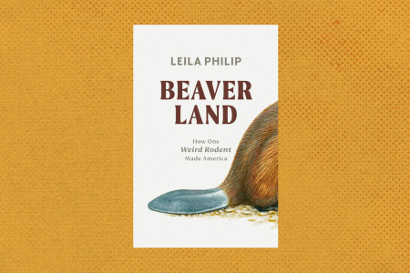 A Fascinating History of Beavers Shows How the Species Shaped the
