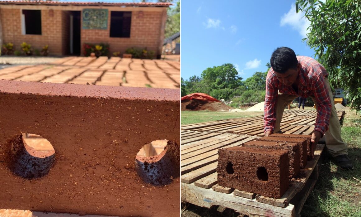 2026: ¿La peor temporada de sargazo en México? 6