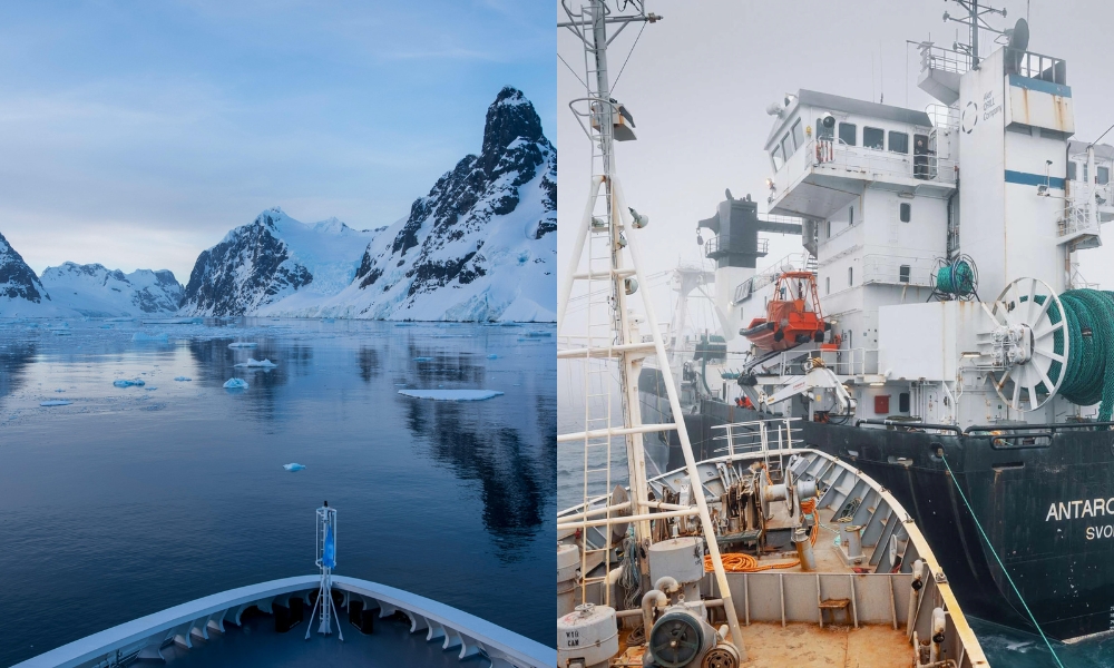 Choque de buques en la Antártida expone riesgos del creciente tráfico y la pesca de krill 1