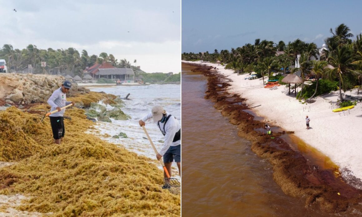 Tulum: la crisis de un destino que pasó de símbolo aspiracional a caso de estudio para la industria turística 3