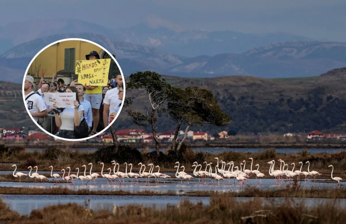 Albania: crecen las protestas contra un resort de lujo vinculado a Jared Kushner e Ivanka Trump 3