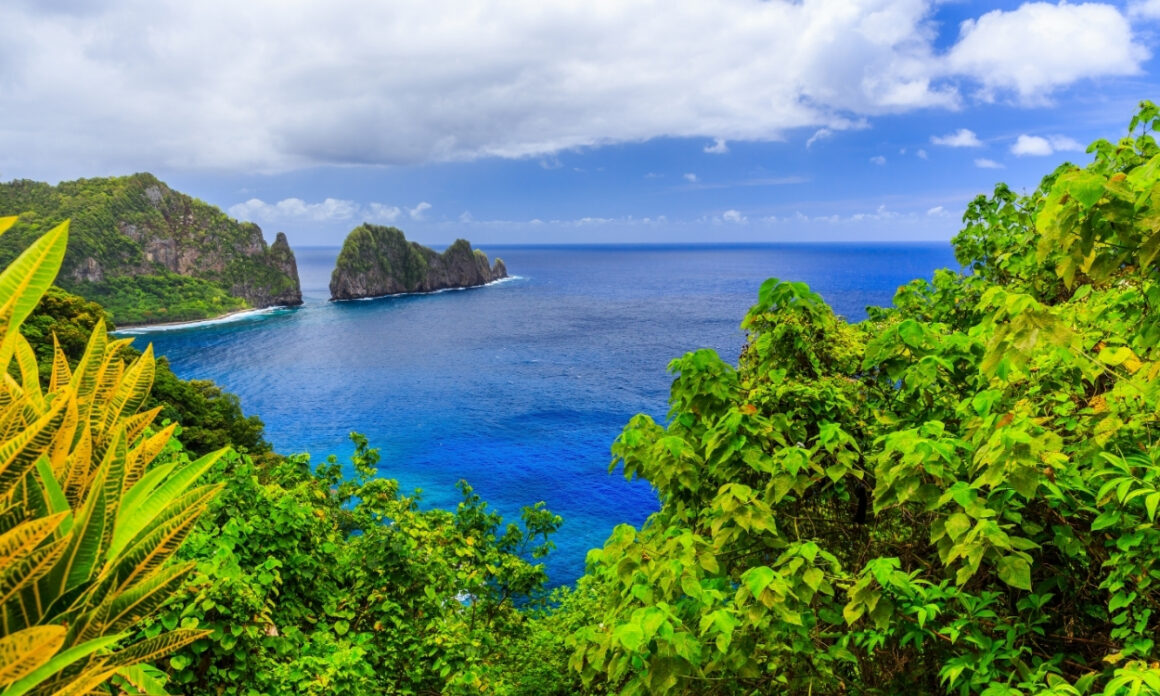 La campaña que acusa a Coca-Cola de convertir a Samoa en un vertedero de plástico 2