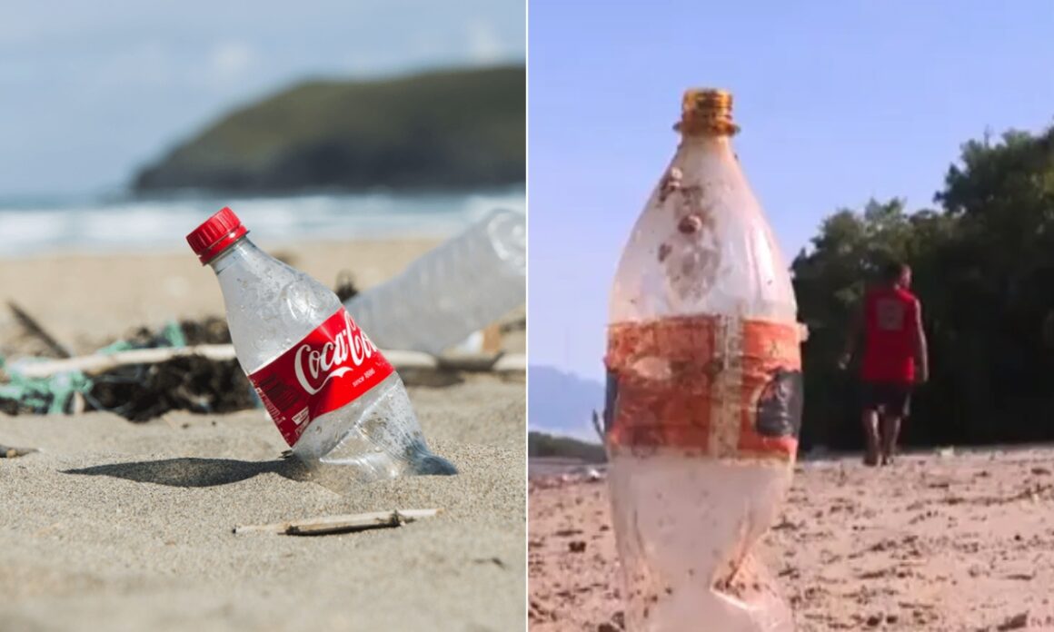 La campaña que acusa a Coca-Cola de convertir a Samoa en un vertedero de plástico 1