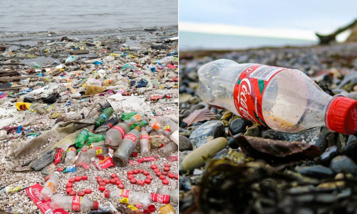 La campaña que acusa a Coca-Cola de convertir a Samoa en un vertedero de plástico 3