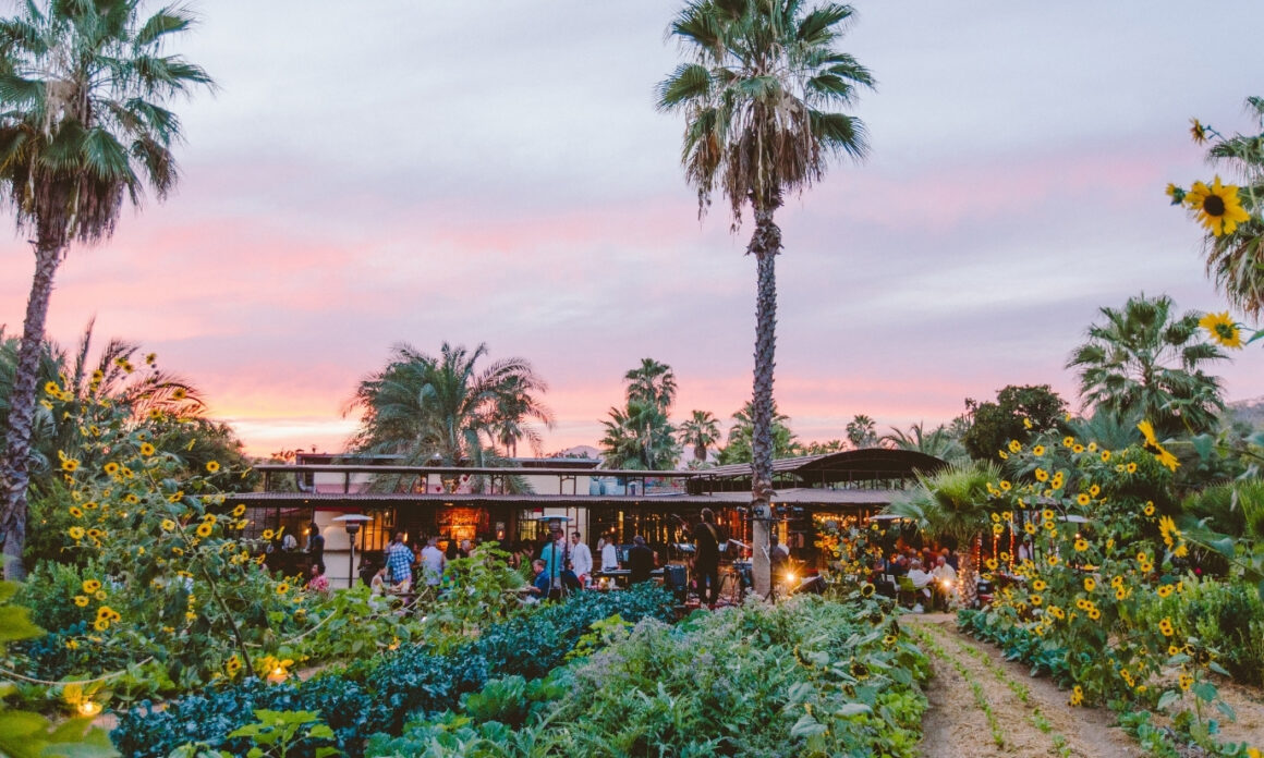 Los Cabos reafirma su lugar entre los grandes destinos gastronómicos con los reconocimientos de la Guía MICHELIN 2026 2