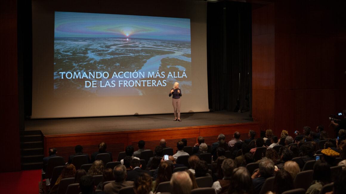 Jaguar Rivers: cuatro países se unen para crear un gran corredor de naturaleza en la Cuenca del Paraná 6
