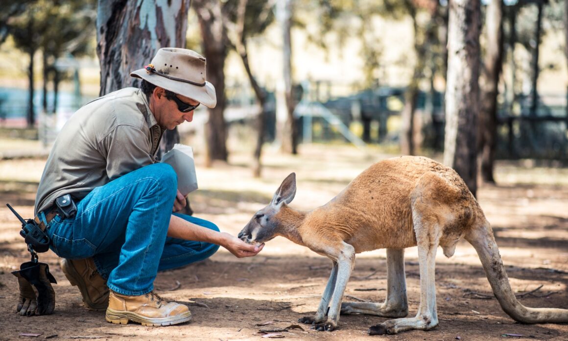 Australia quiere que los backpackers trabajen primero y crucen los dedos después 6