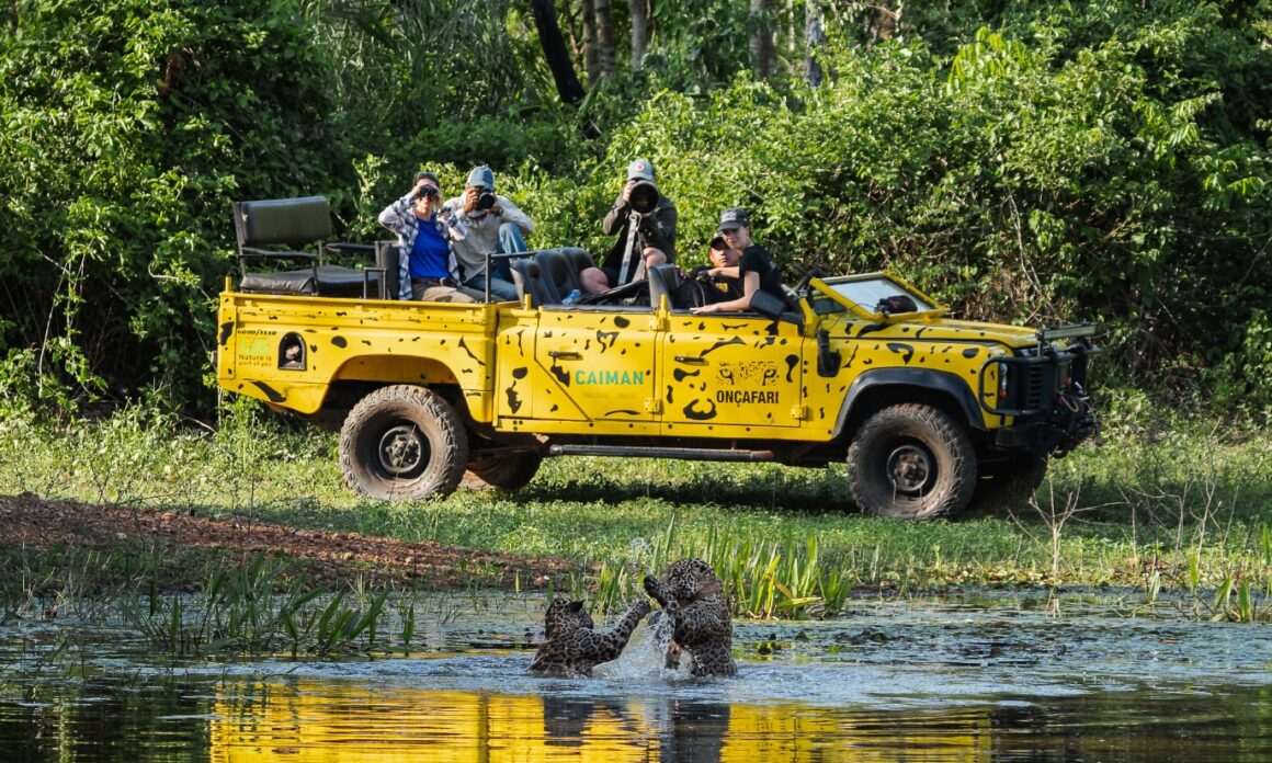 Jaguar Rivers: cuatro países se unen para crear un gran corredor de naturaleza en la Cuenca del Paraná 1