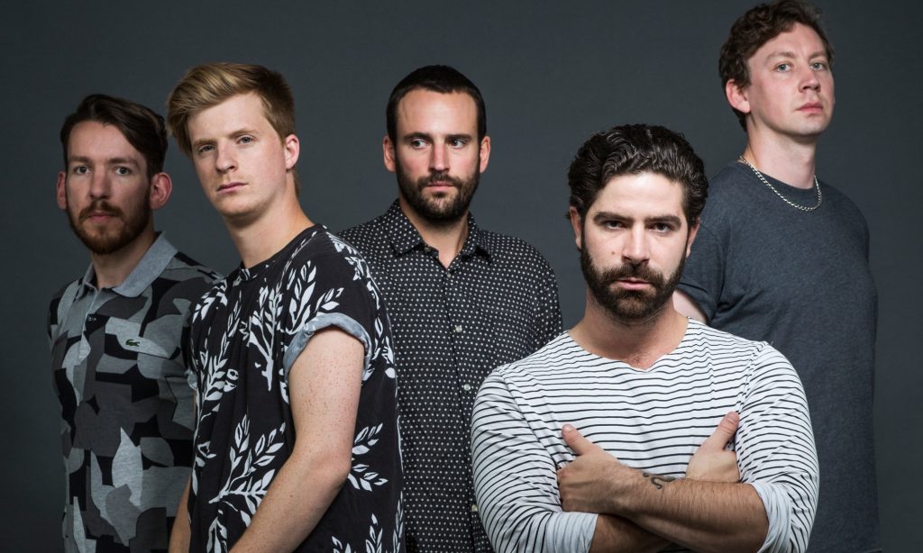 foals