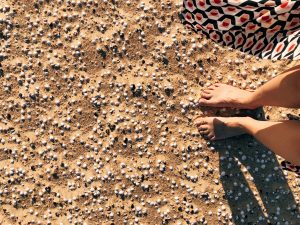Vapor do Vinho - Lago do Sobradinho (BA): Ilha da Fantasia. Foto: Lalai Persson
