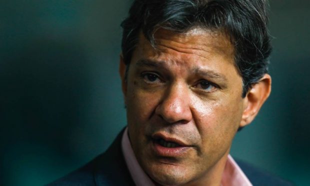 Fernando Haddad / Foto: divulgação