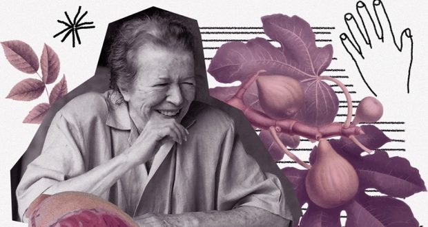 Festival Arena Hilda Hilst / Foto: divulgação