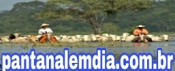 Site Pantanal em Dia