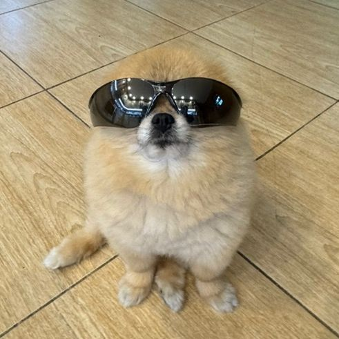 KORI cryptocurrency logo