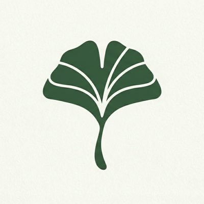 NOOK cryptocurrency logo