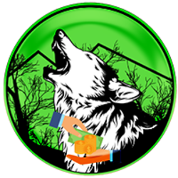 WSPP cryptocurrency