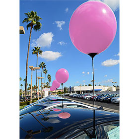 Clip on Window Pole Kit for Reusable Balloon