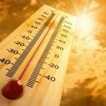Qué Hacer Ante una Ola de Calor