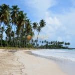 Playa Arroyo Salado