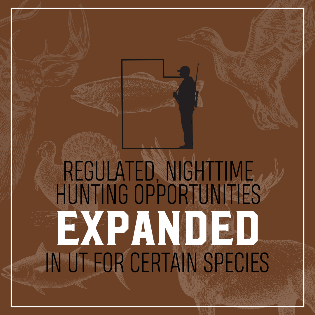Regulated, nighttime hunting opportunities for certain species were expanded in UT.