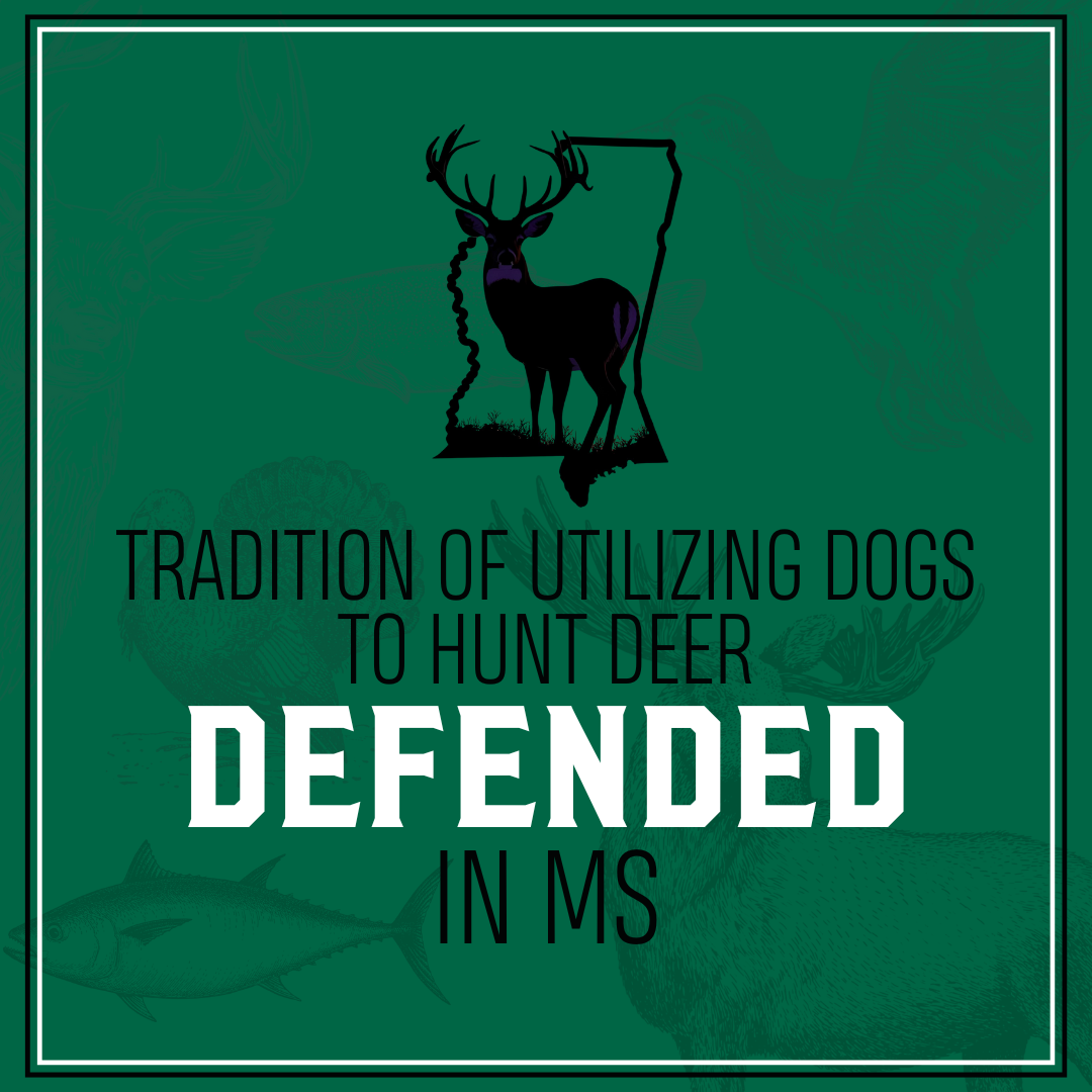 The tradition of utilizing dogs to hunt deer was defended in MS.