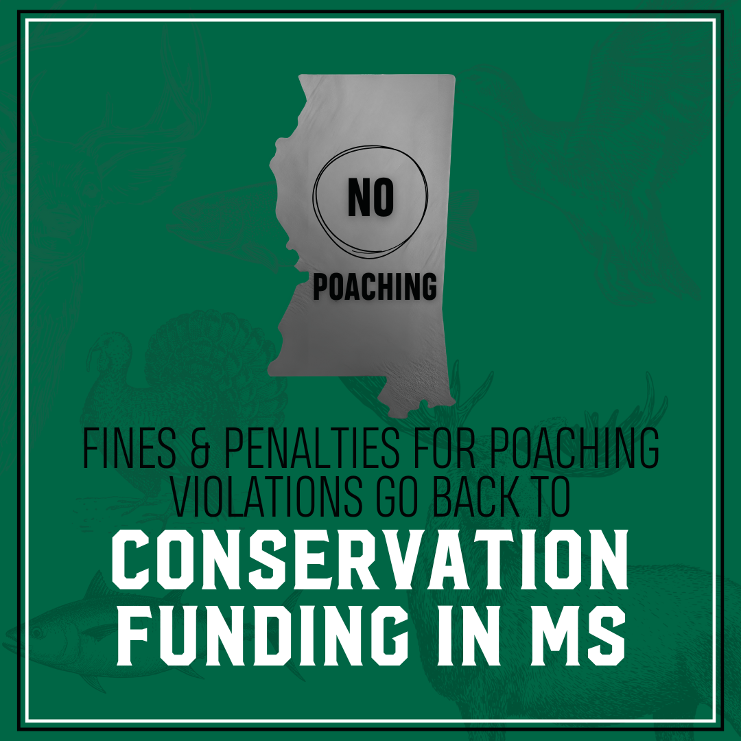 Fines and penalties for poaching violations will now go back to conservation funding in MS, upholding the Public Trust Doctrine.