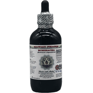 7403_large_HawaiiPharm-Echinacea-2021.png