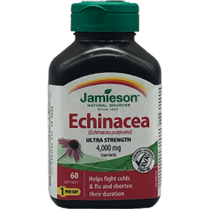 7404_large_Jamieson-Echinacea-2021.png