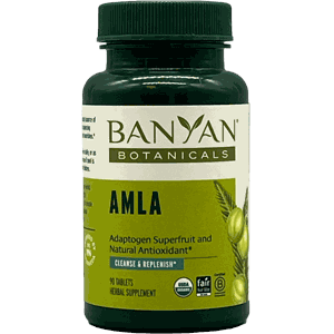 Banyan_Botanicals_Amla-Amla-small.png