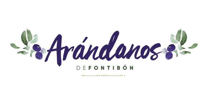Arándanos