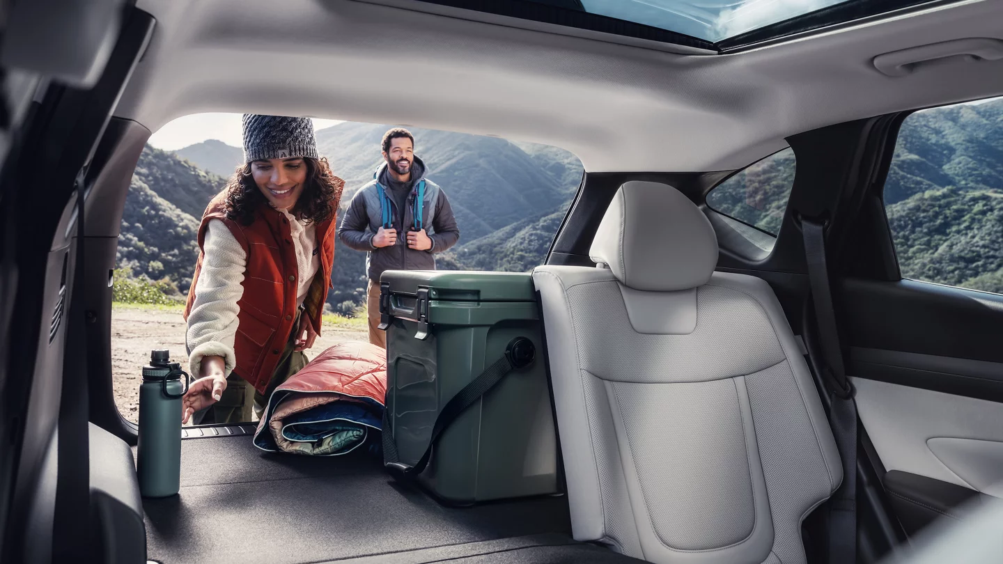 VehicleTitle - Image