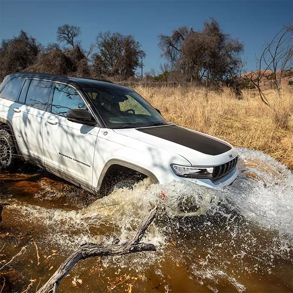 VehicleTitle - Image