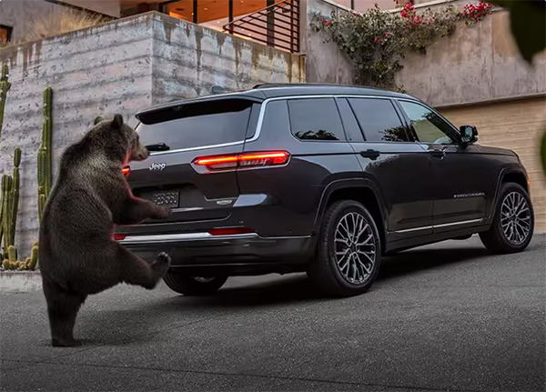 VehicleTitle - Image