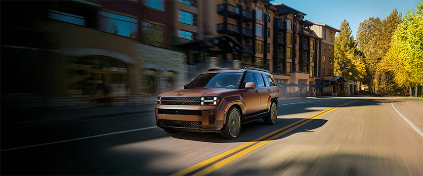 Hyundai Santa FE - Image