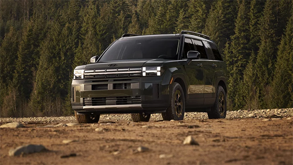 Hyundai Santa FE - Image