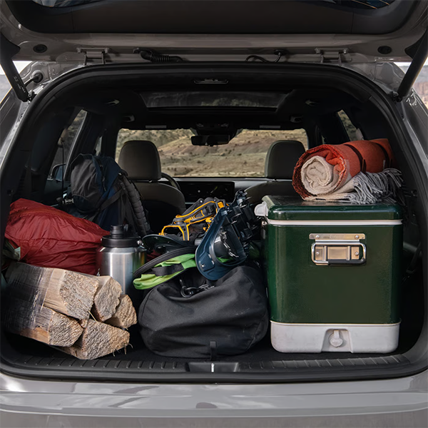 VehicleTitle - Image