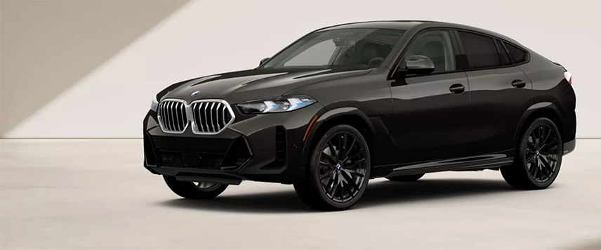 BMW X6 - Image