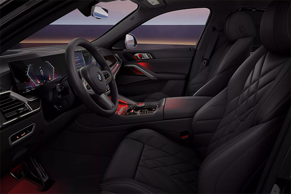 BMW X6 - Image