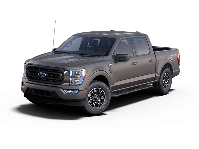 Photo view of 2021 Ford F-150 in Gray