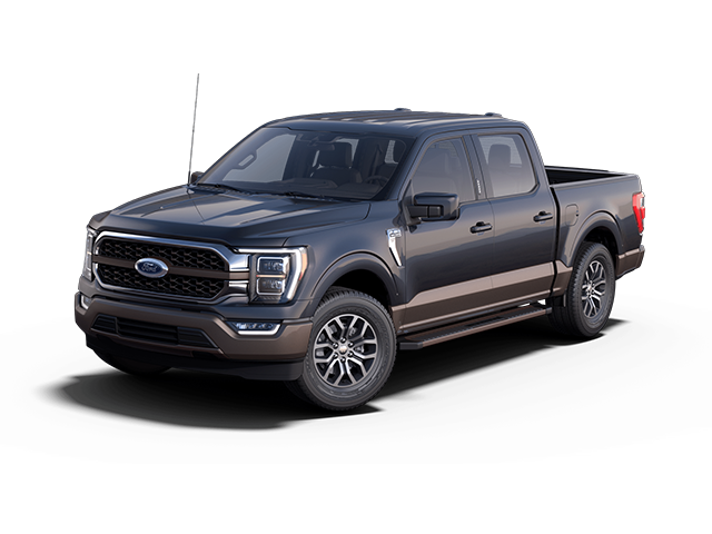 Photo view of 2021 Ford F-150 in Brown