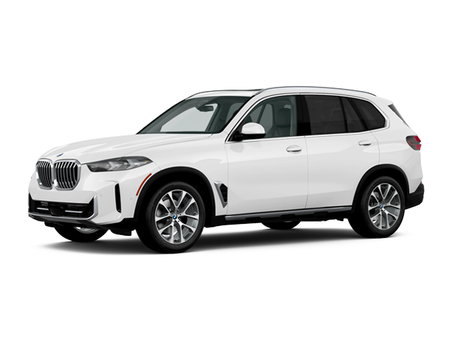 BMW X5 Vehicle Image
